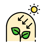 alta-transmissao-de-luz